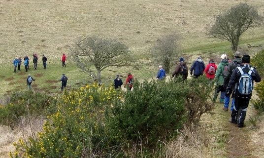 Descending into Gorse Valley on the Widlife Walk